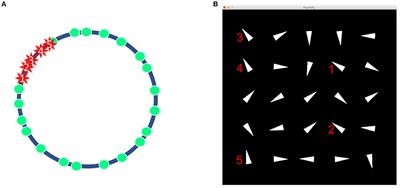 Assessing Feedback Response With a Wearable Electroencephalography System